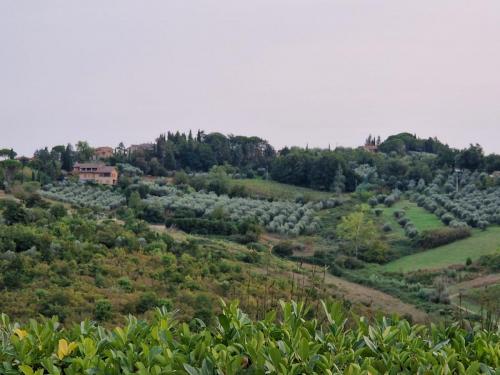Veinireis-Toscanasse-17
