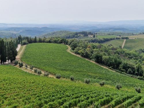 Veinireis-Toscanasse-18